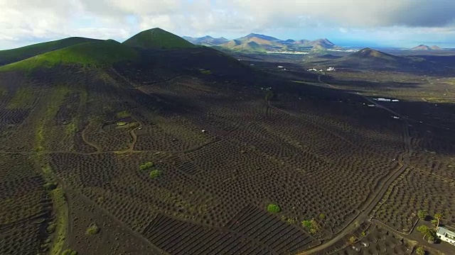 无人机在兰萨罗特火山岛上空拍摄的航拍镜头，令人惊叹的火山景观和黑色土地上葡萄园的漂亮图案洞。4 k UHD。视频素材