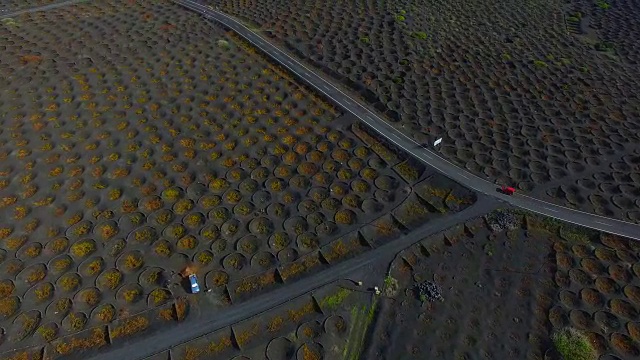 无人机在兰萨罗特火山岛上空拍摄的航拍镜头，令人惊叹的火山景观和黑色土地上葡萄园的漂亮图案洞。4 k UHD。视频素材