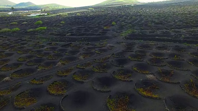 无人机在兰萨罗特火山岛上空拍摄的航拍镜头，令人惊叹的火山景观和黑色土地上葡萄园的漂亮图案洞。4 k UHD。视频素材