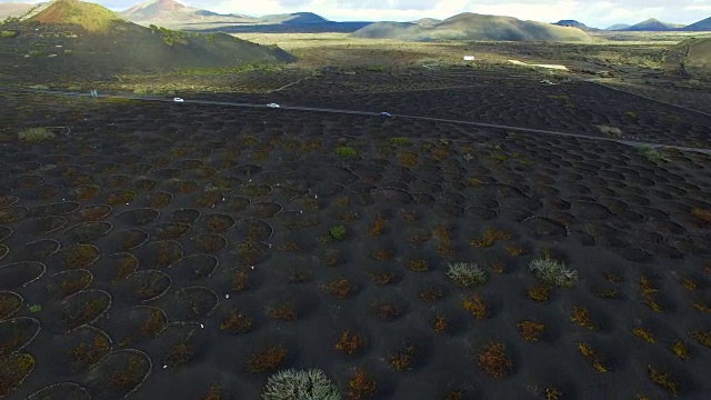 无人机在兰萨罗特火山岛上空拍摄的航拍镜头，令人惊叹的火山景观和黑色土地上葡萄园的漂亮图案洞。4 k UHD。视频素材