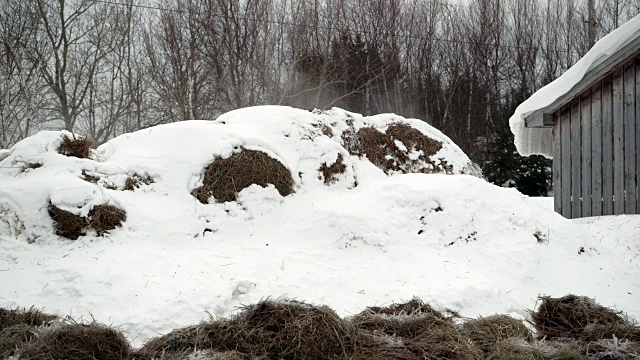 农村干草上的雪视频素材