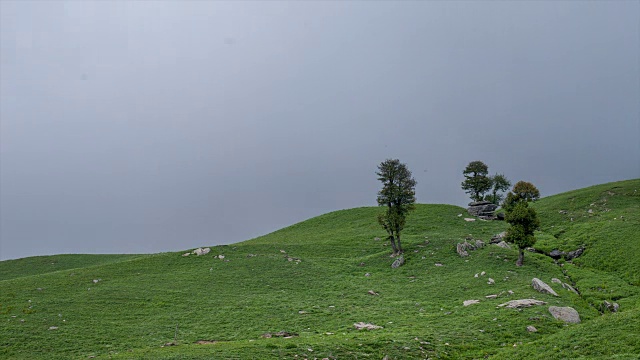 迷雾笼罩着马纳利山的草地视频素材