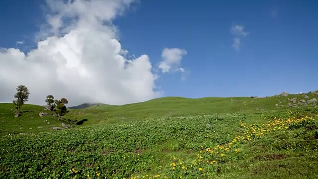 潘杜罗帕草地的白天视频下载