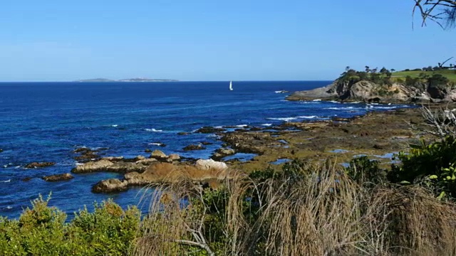 澳大利亚海岸Narooma pan视频素材