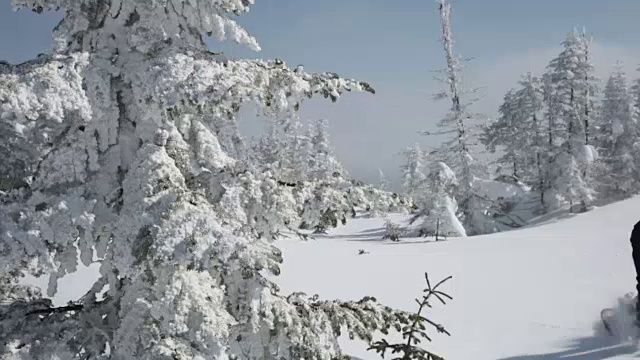 穿着雪鞋在冬季森林景观中行走的人视频素材