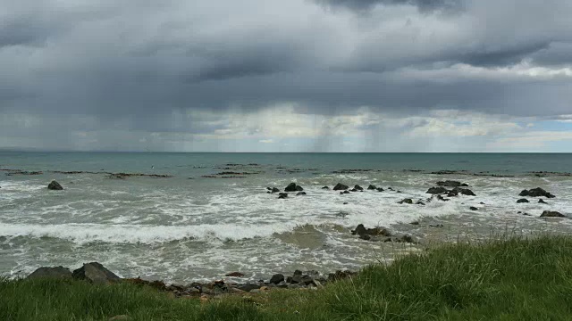 新西兰卡卡点雨波和岩石视频素材