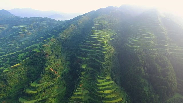 WS航拍中国贵州的梯田。视频素材