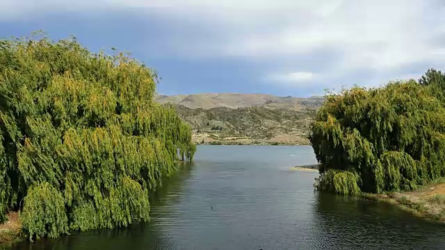 新西兰湖邓斯坦海峡与柳树视频素材