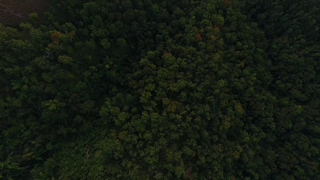 飞过迷雾山。视频素材