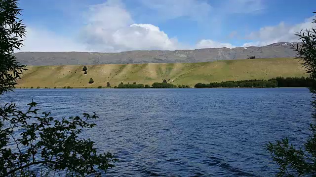 新西兰湖邓斯坦树状冰碛视频素材