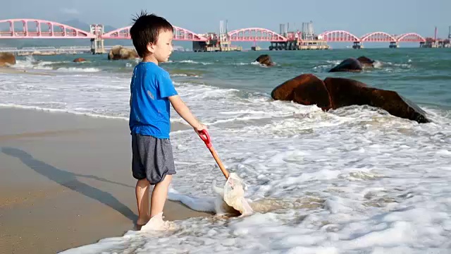 孩子们在海滩上玩耍视频下载