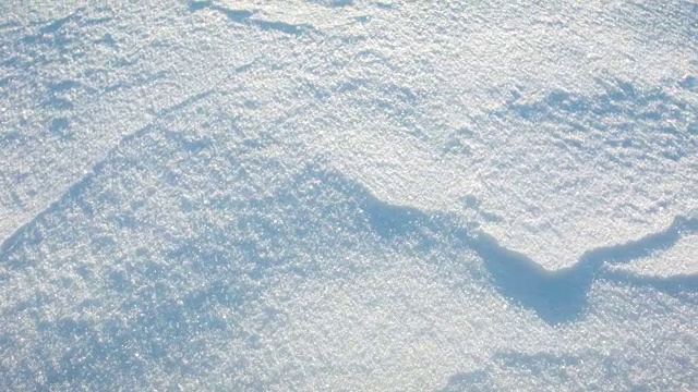 黎明时分的雪的特写视频素材