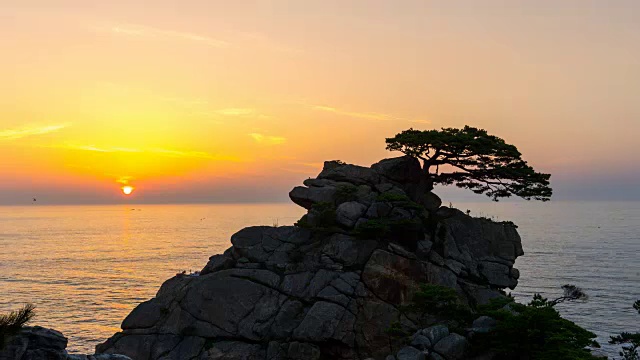 日落时分，哈约代海滩松树景观(热门旅游景点)视频素材