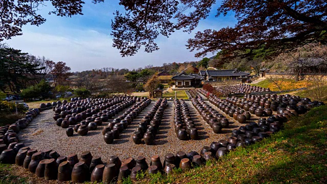 Myeongjae Old house中，Jang Dok(韩国传统的酱汁和调味品罐)排成一行视频素材