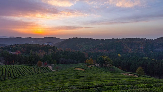 Boseongchabat(韩国最大和著名的绿茶农场之一)的绿茶田和山的日出景色视频素材