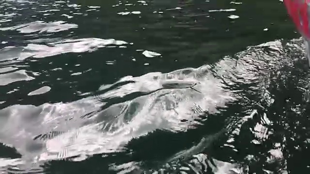 船首到达哈纳巴尼拉湖或大坝的乡村码头。生态旅游在古巴视频素材