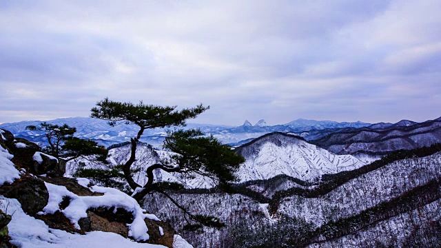 麦三山(名山)雪景视频素材