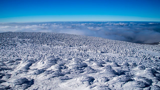 Hallasan山(联合国教科文组织世界遗产和著名旅游胜地)的雪景视频素材