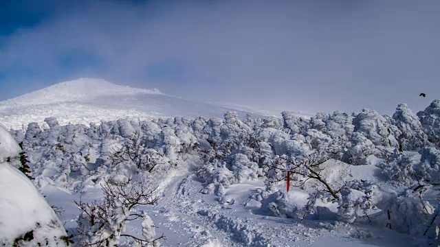 Hallasan山(联合国教科文组织世界遗产和著名旅游胜地)的雪景视频素材