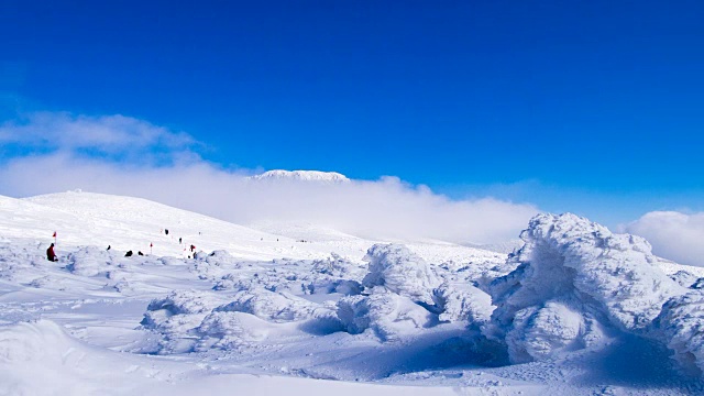 Hallasan山(联合国教科文组织世界遗产和著名旅游胜地)的雪景视频素材