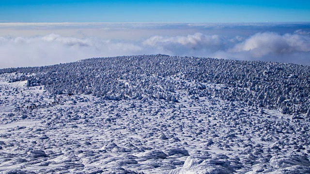 Hallasan山(联合国教科文组织世界遗产和著名旅游胜地)的雪景视频素材