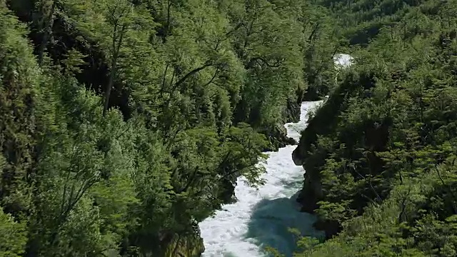 帕斯夸河流经茂密的森林视频素材