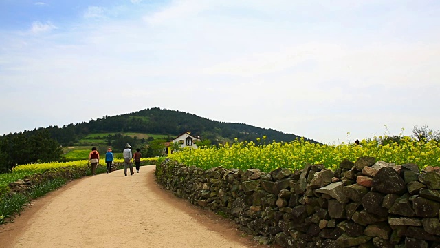 清山岛的Seullogil(被文化体育旅游部指定为必看景点)视频素材