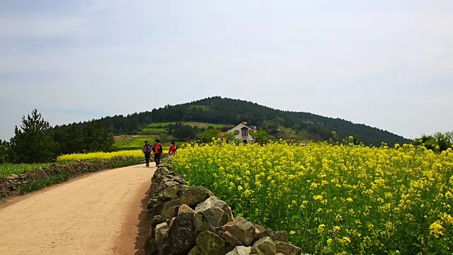 清山岛的Seullogil(被文化体育旅游部指定为必看景点)视频素材