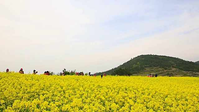 清山岛的Seullogil(被文化体育旅游部指定为必看景点)视频素材