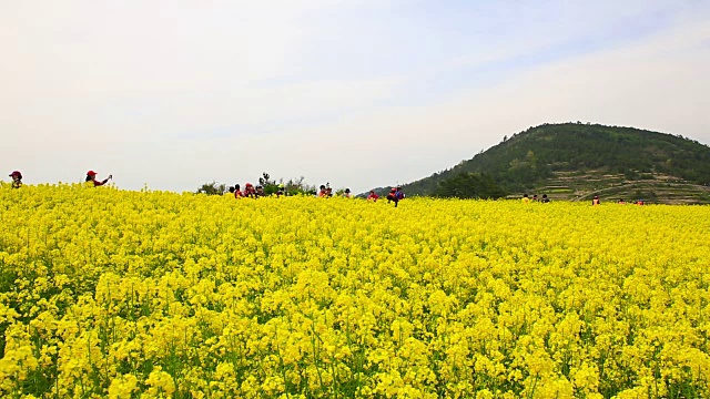 清山岛的Seullogil(被文化体育旅游部指定为必看景点)视频素材