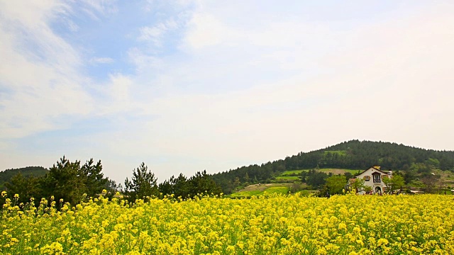 清山岛的Seullogil(被文化体育旅游部指定为必看景点)视频素材