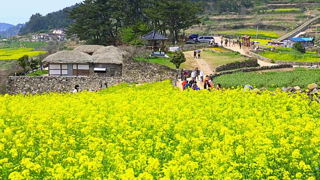 清山岛的Seullogil(被文化体育旅游部指定为必看景点)视频素材