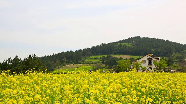 清山岛的Seullogil(被文化体育旅游部指定为必看景点)视频素材