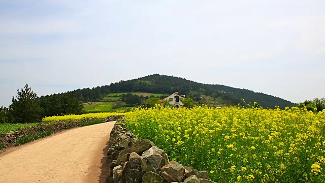 清山岛的Seullogil(被文化体育旅游部指定为必看景点)视频素材