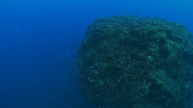 海底巨大的岩石山视频素材