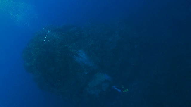 海底顶峰,墨西哥视频素材