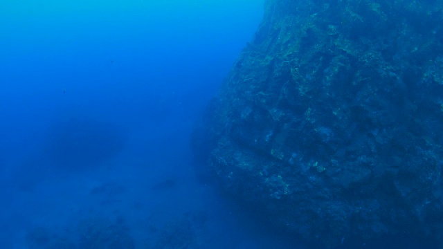 海底巨大的顶峰视频素材