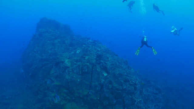 在海底峡谷潜水视频素材