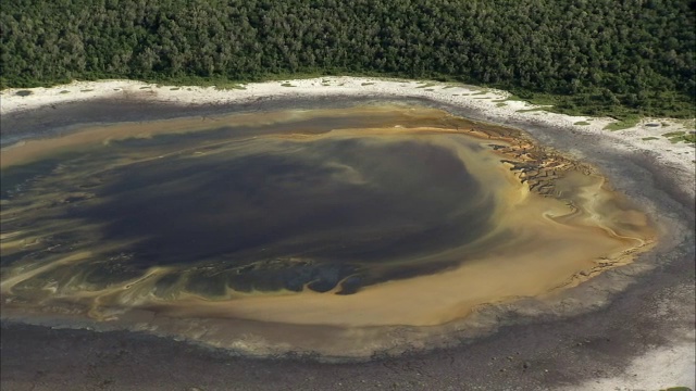 乌干达，森林和死火山湖上空视频素材