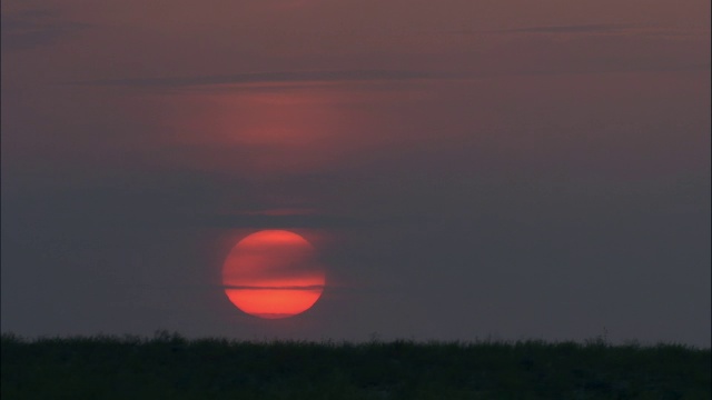 太阳升起在草原上，卡拉麦里自然保护区，中国新疆视频素材