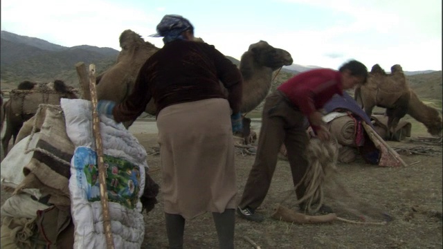 哈萨克人收拾财物，卡拉麦里自然保护区，中国新疆视频素材