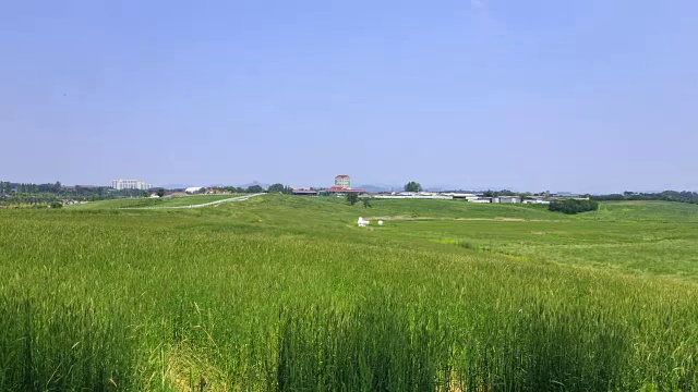 安城农场(韩国著名农场)绿地景观视频素材