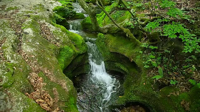 大白山(Taebaek Mountain)的木龙梭池(汉城最重要的河流汉江的源头)的苔藓谷视图视频素材