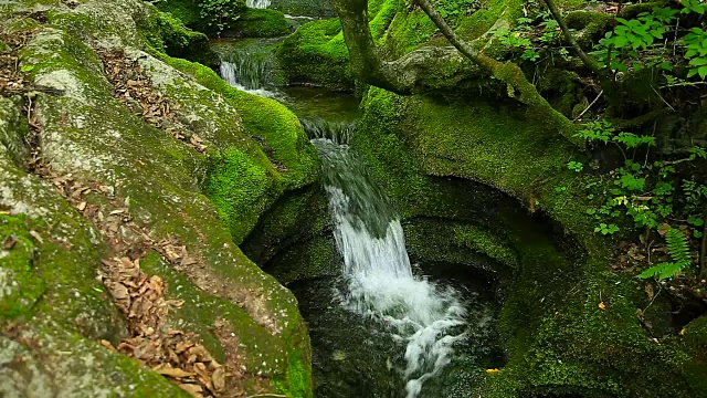 大白山(Taebaek Mountain)的木龙梭池(汉城最重要的河流汉江的源头)的苔藓谷视图视频素材