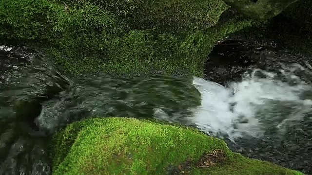 大白山(Taebaek Mountain)的木龙梭池(汉城最重要的河流汉江的源头)的苔藓谷视图视频素材