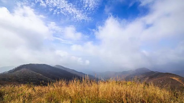 京畿道的云海和锯草景色视频素材