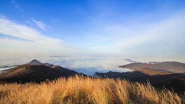 京畿道的云海和锯草景色视频素材