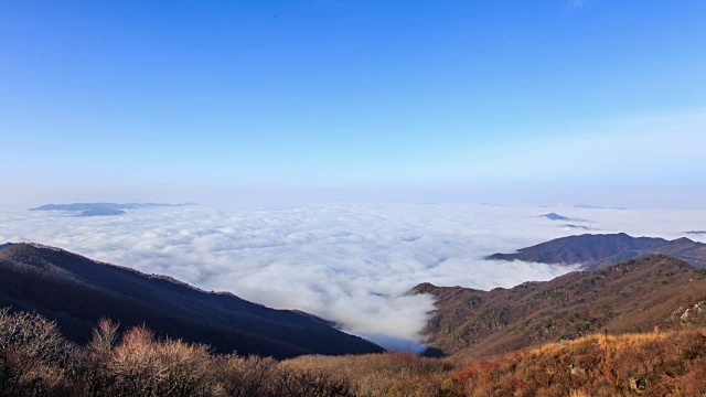 京畿道的云海和锯草景色视频素材