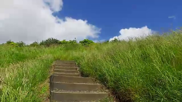 楼梯通向新西兰奥克兰的伊登山。视频素材