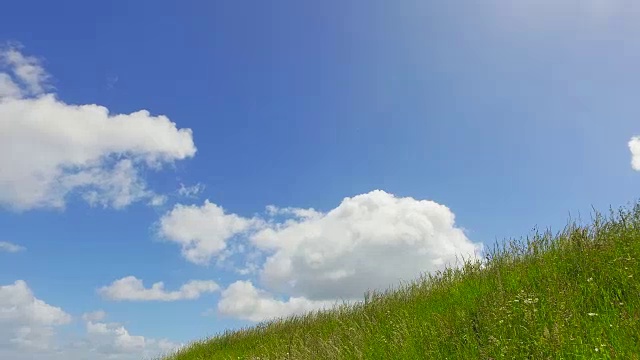 草对蓝天的背景。视频素材